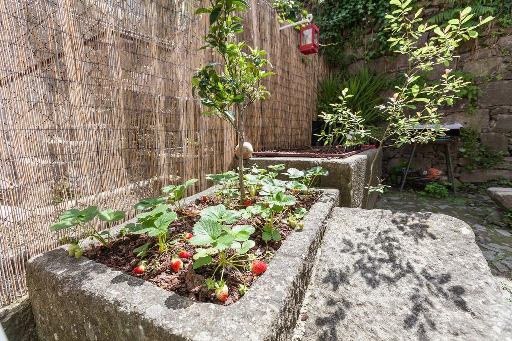 Bracara Hostel Braga Dış mekan fotoğraf
